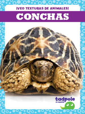 cover image of Conchas